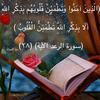 nawelnanou27