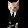 a_random_persona13
