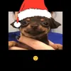 eliasfelipe441