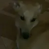 istgfrlma0