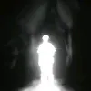 whs.prnxxy