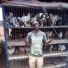 salifcoulibaly959