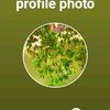 user84040661480751