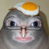 dangerouspigeon222