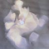 user_153722162663