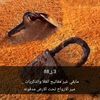 hamodsalmtiktok.com