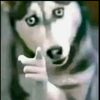 elda_de_queen1234