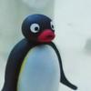 penguin_colin