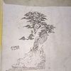 emen.bonsai