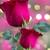 sara__7602