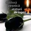florinmocanu880