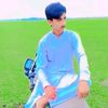 hasnibrand8