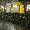 910sauvtxs6