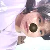 sgp_zena