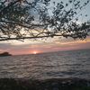 alphonce_alpho01