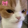 ang3lsaintt_