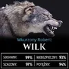 robertwilczewski4
