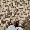 beal_nut