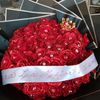 www.tiktok.comshangrila6