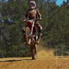 wildwilly07