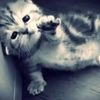 yo_alexx559