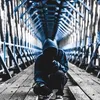 user3646pzm1z6