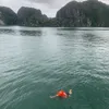 pham_dungx