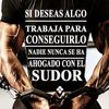 diamantenegro528