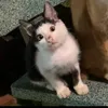 uwwwwuiui