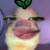 ynaczyv