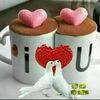 bakryidriss