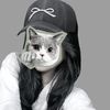 cipailaaaa