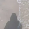 zahramoho3