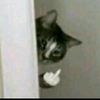 anhcuteahy