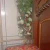 user4178381058262