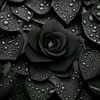 user290481569