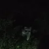 hhudydg