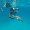 bladestheswimcoach246