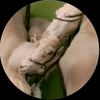 tallglassofkunu7