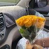 lojainshafiq