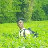 mdarifislamemon