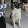 khampaaaaa