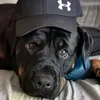 ladyslief