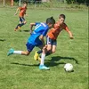 lazartodorovicc11