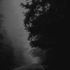 m7mdxx888