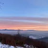 realwacica