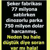 ayenurata3