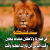 user9614881139561