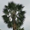 user1916030407204