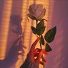 malak_al7roub